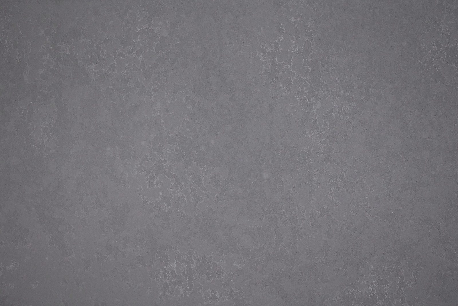Stella Gris